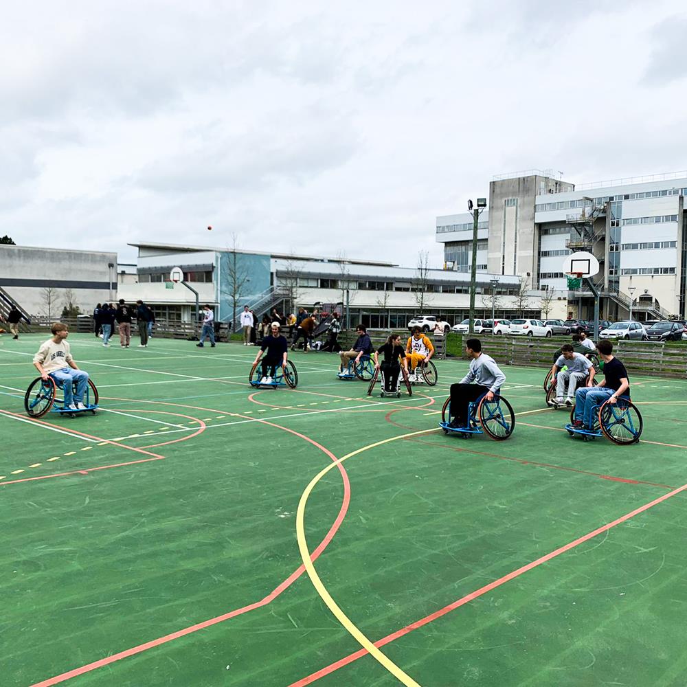 Photo Basket fauteuil